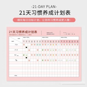 100天目标规划与每日习惯打卡指南